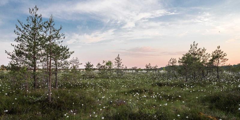 GPS导航2合1:汽车导航与行车记录仪的融合革命,如何重塑你的驾驶体验?