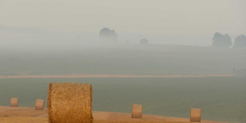 从公路到农田：汽车导航技术如何重塑精准农业的施肥与播种革命