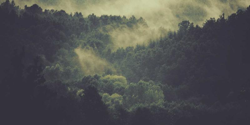 从“知道在哪”到“厘米级掌控”：GPS导航与高精地图如何成为L2+智能驾驶的隐形大脑