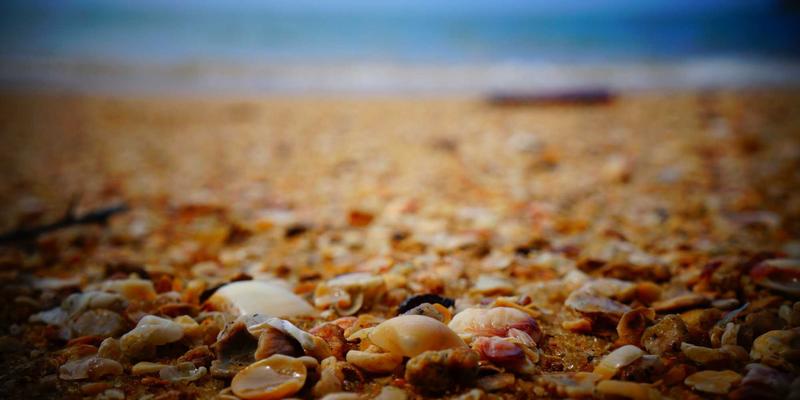 从车载到室内：低功耗蓝牙与GPS如何重塑大型空间导航体验