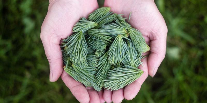 告别拥堵！深度解析车载智能终端如何通过实时交通融合技术重塑出行体验