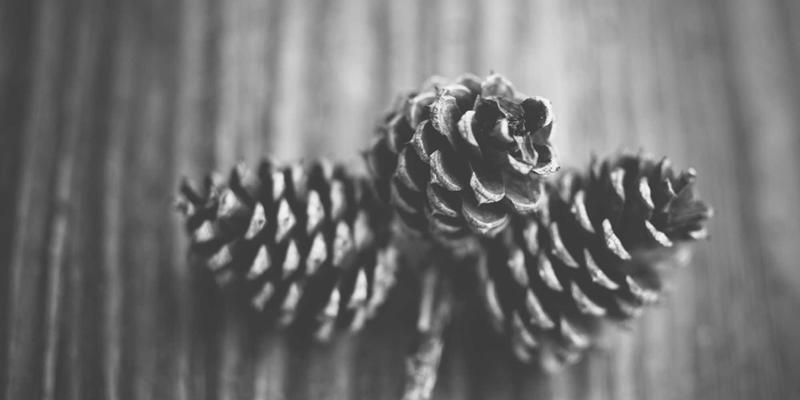 告别盲目导航！行车记录仪与车载智能终端如何通过实时路况+地形数据，规划真正省油省电的智能路线？